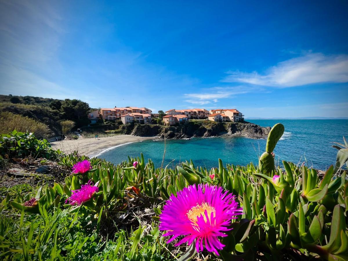 Chez Caro Apartment Port Vendres Luaran gambar